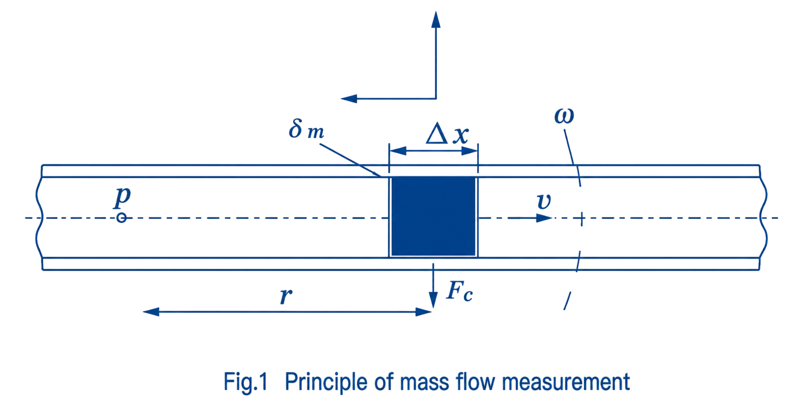 FCC800 Coriolis Mass Flow Meter